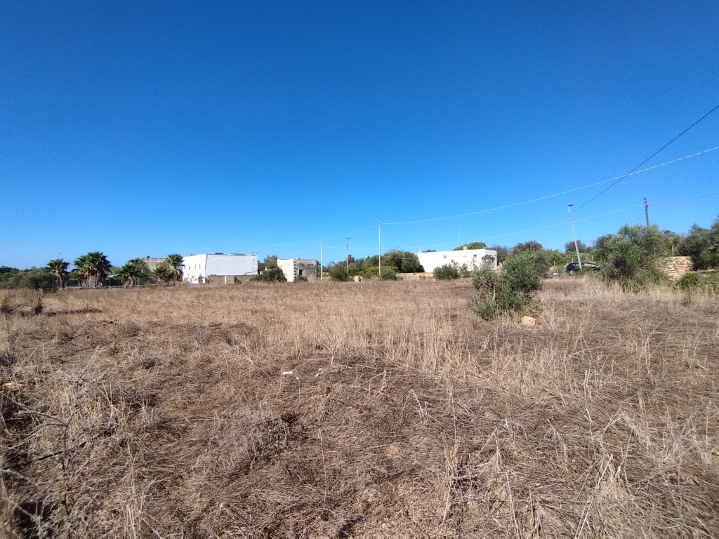 Giano Group Immobiliare